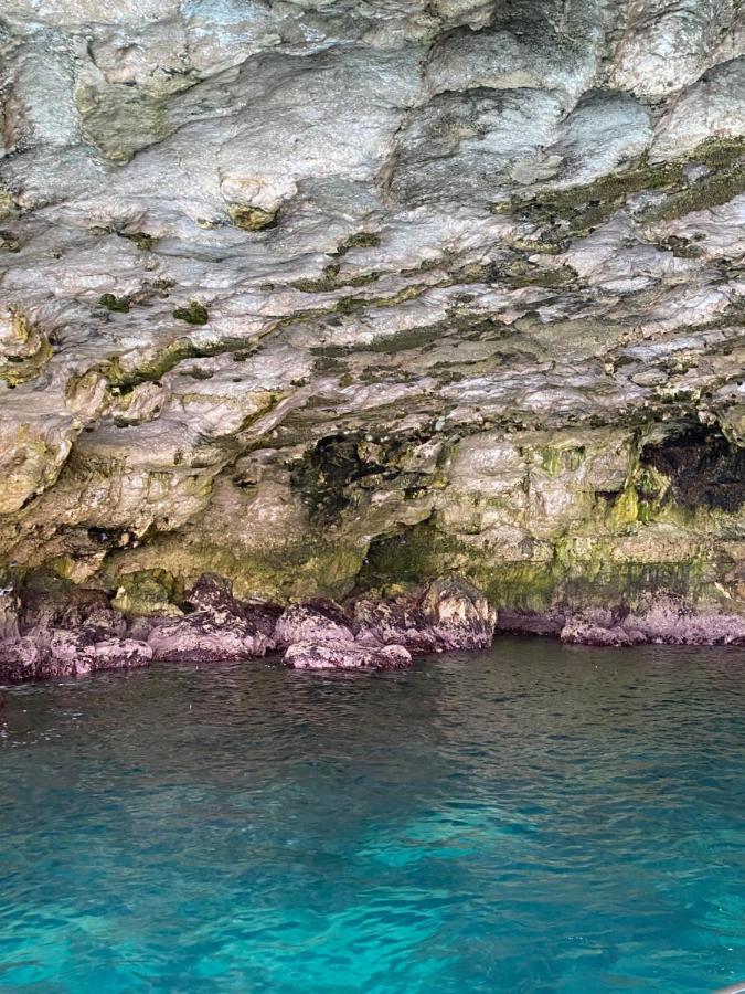 Dimora Alfa Apartman Polignano a Mare Kültér fotó